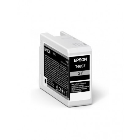 Singlepack Gray UltraChrome Pro 10 ink 25ml